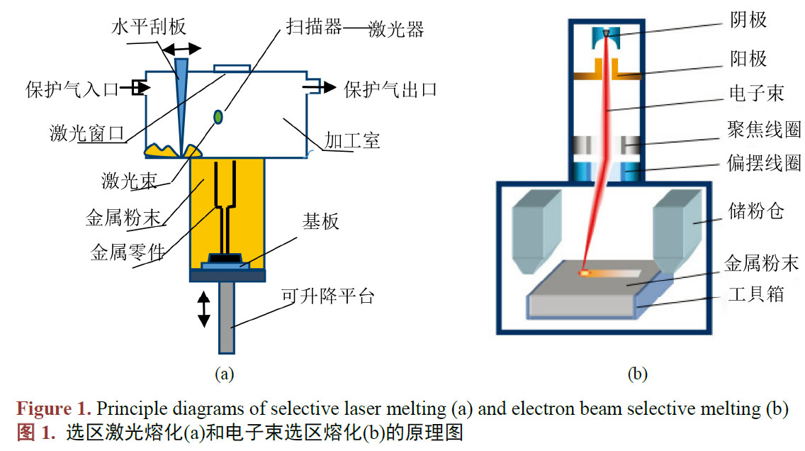 1683337782108828.jpg t1.jpg