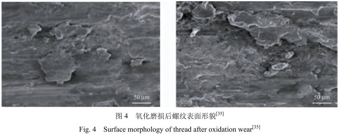 1706095412420096.jpg t4.jpg