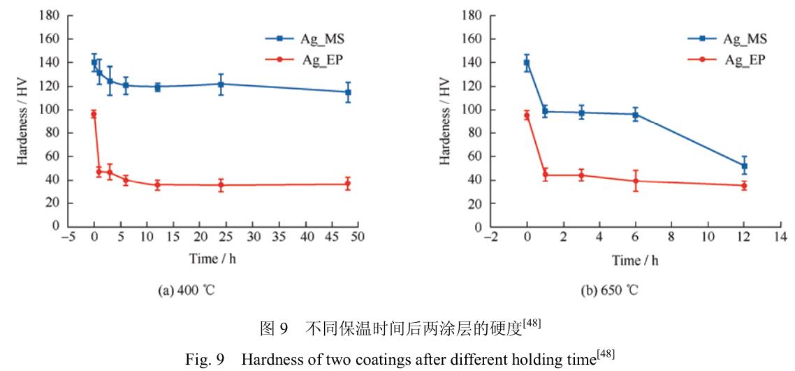 1706095486371795.jpg t9.jpg