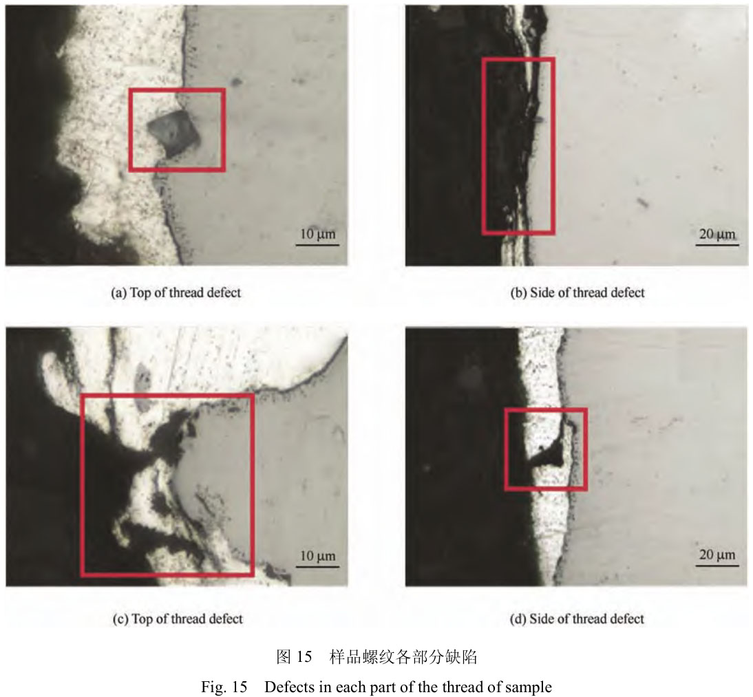 1706095616581847.jpg t15.jpg