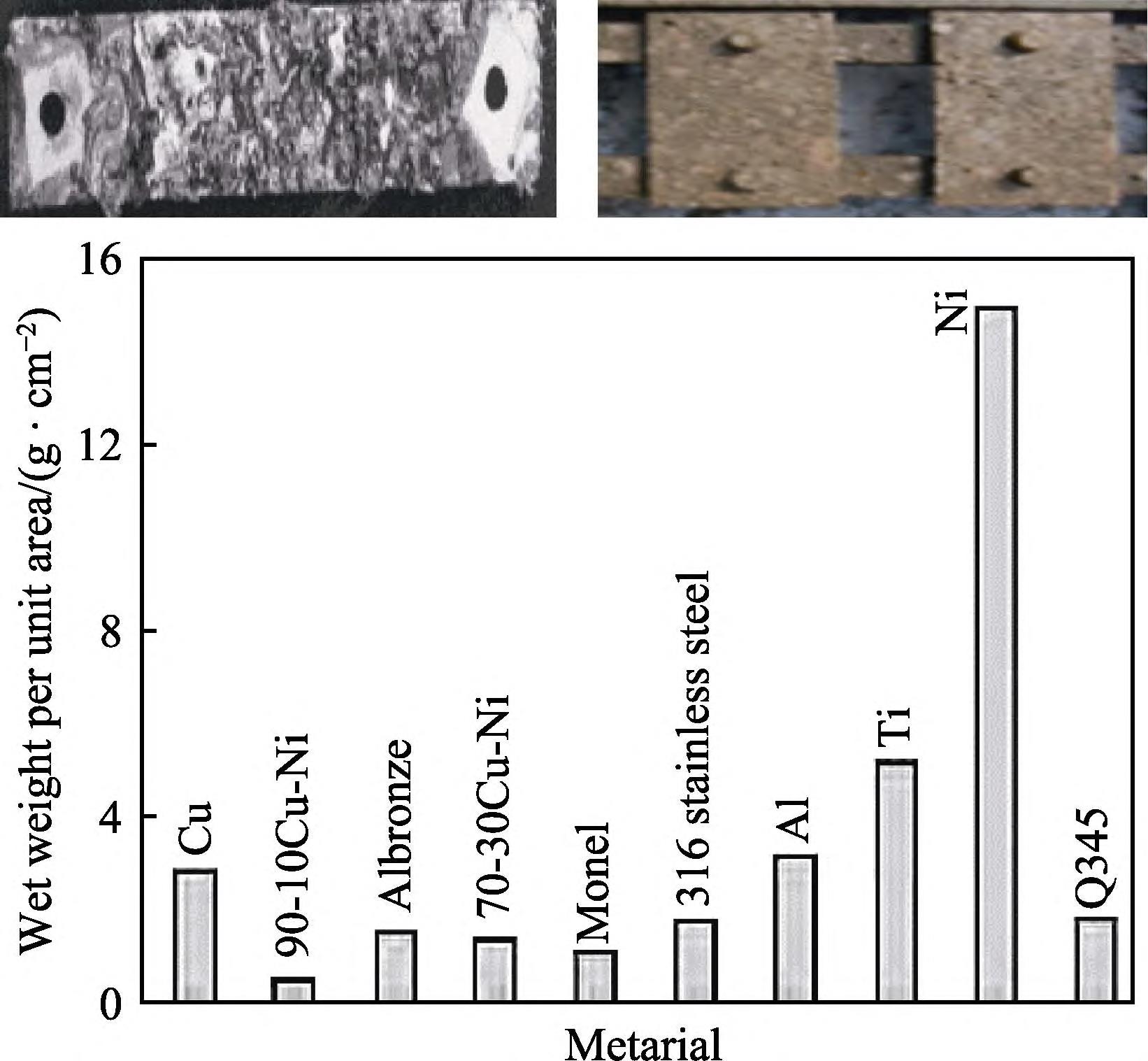 1709435705257458.jpg 6.jpg