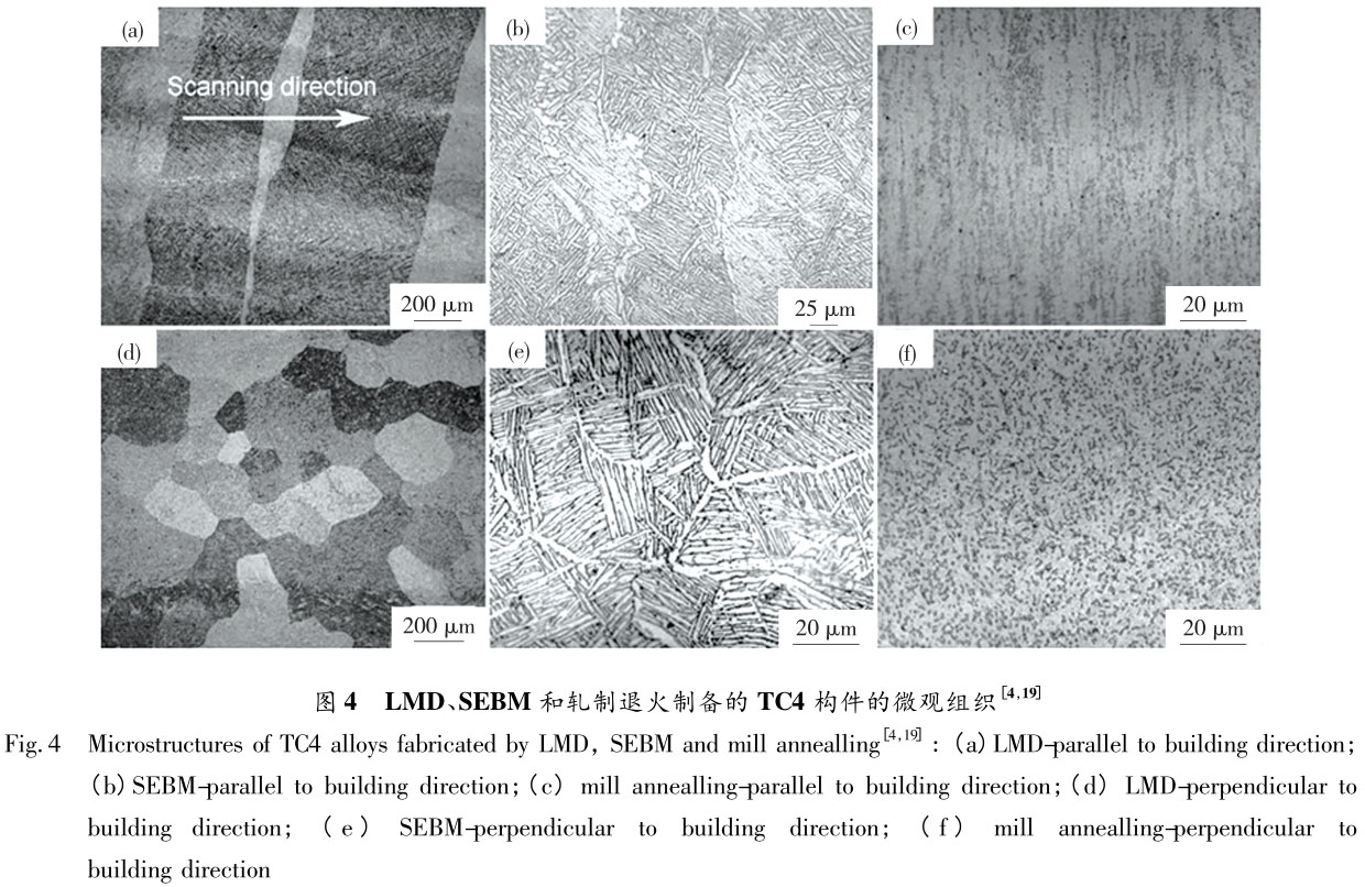 1721614685755208.jpg t4.jpg