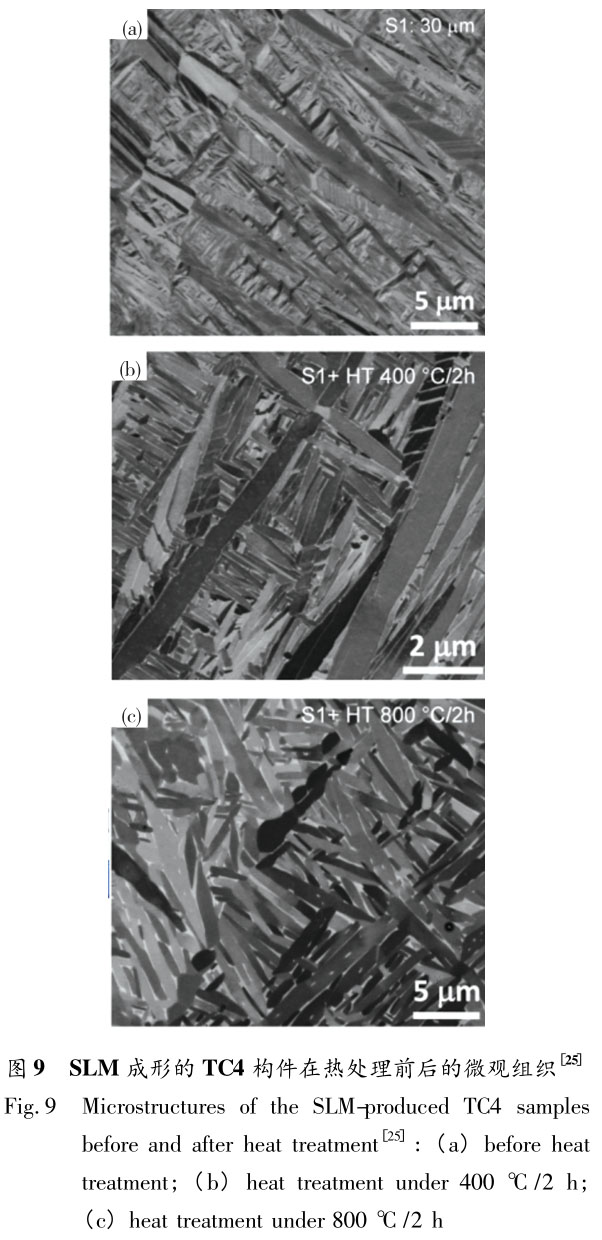 1721614742375742.jpg t9.jpg