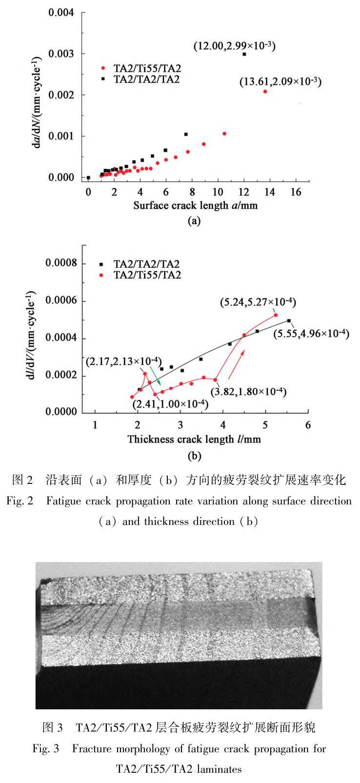 1722830147693310.jpg t2-3.jpg