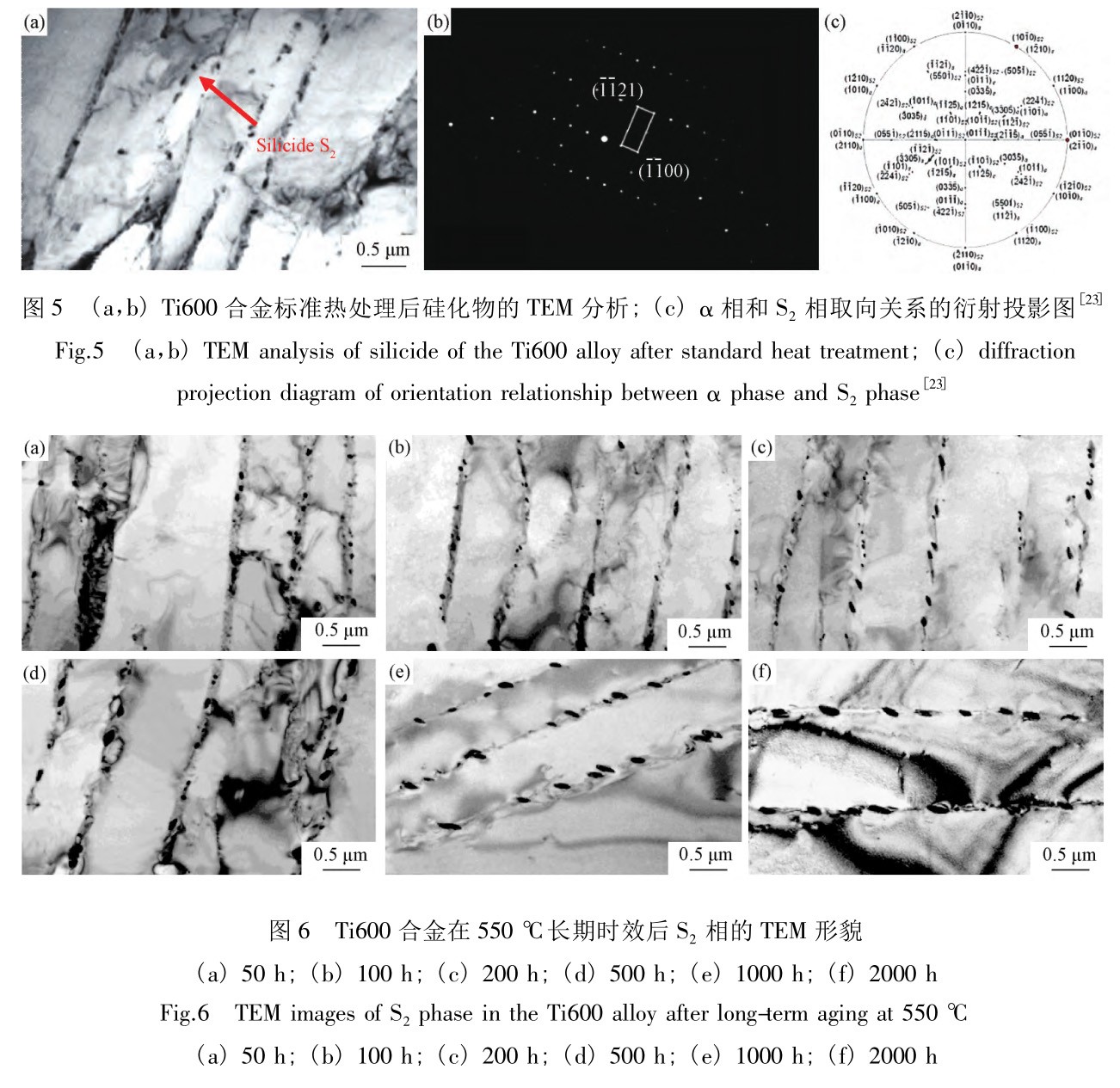 1727927761444539.jpg t6.jpg