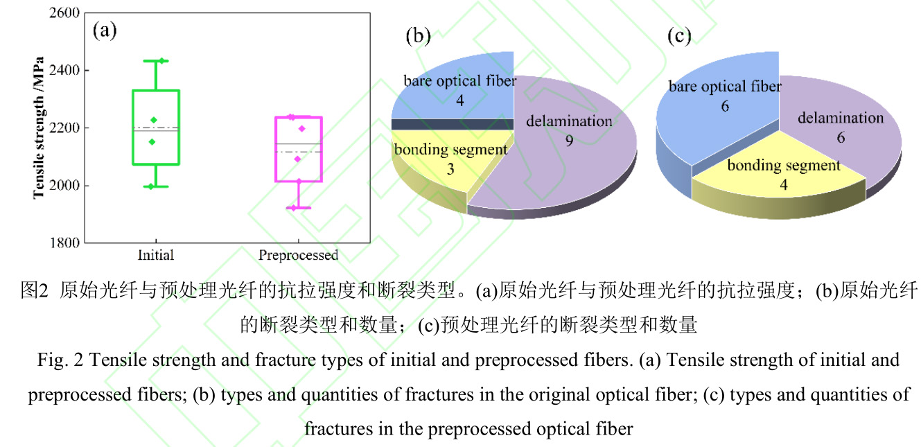 1728138529350575.jpg 2.jpg