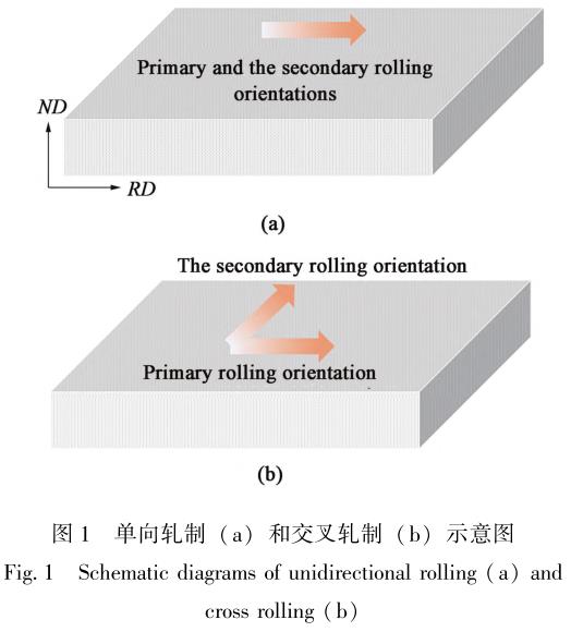 1729324288656768.jpg t1.jpg