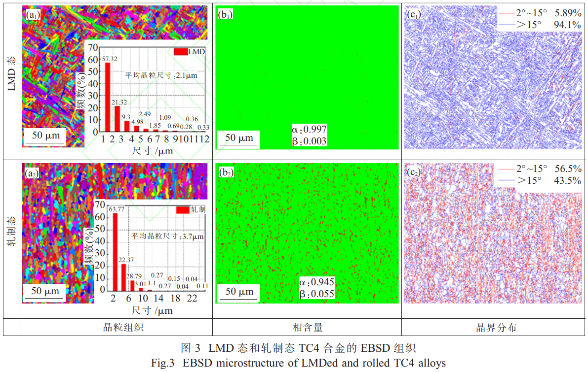 1734878052288407.png 3.png