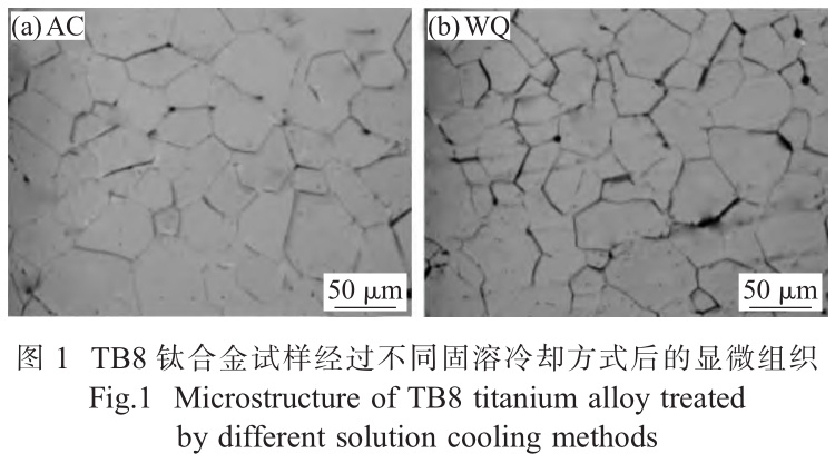 1735116735349842.jpg 1.jpg