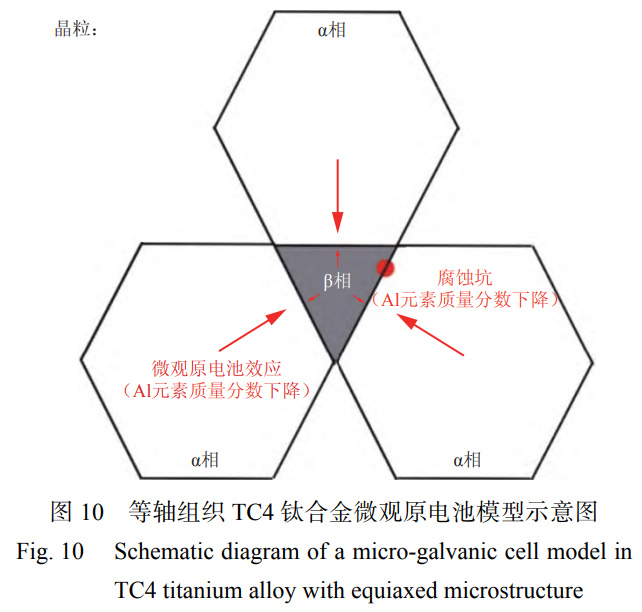 1763905578910204.jpg 未標(biāo)題-5.jpg