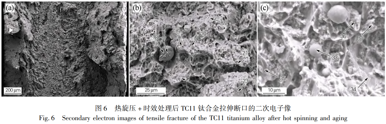 1763972639751434.png 截圖20251124162201.png